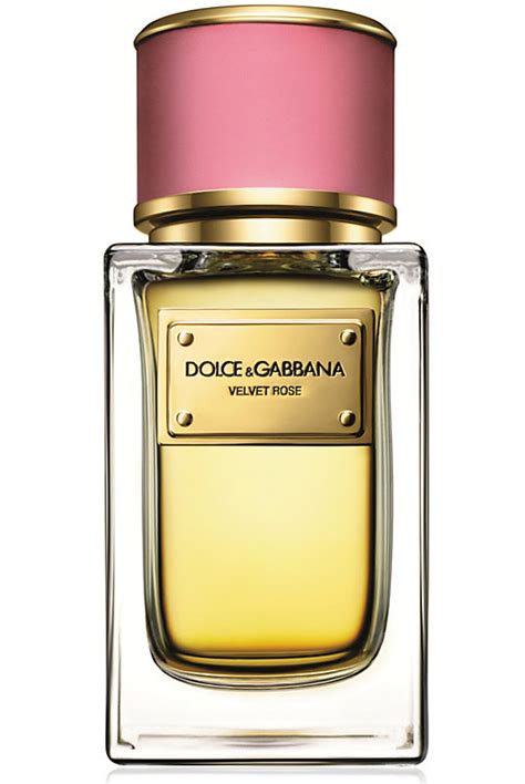 dolce and gabbana perfume buy online|best dolce and gabbana perfume for women.